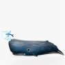 092 Sperm Whale 3 2025 08