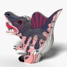 064 Spino 4 2025 08