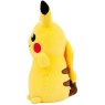 SQPK00299 10inPokemonHugMeesPikachu OPSL lpr 900x