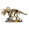 LEGO® Jurassic World Dinosaur Fossils: Triceratops 77985 LEGO® Jurassic World Dinosaur Fossils: Triceratops 77985