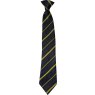 Navy/Gold