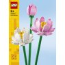 40647 Box3 v29