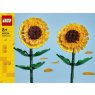 40524 Box3 v29