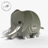 010 Elephant 2 2025 08