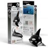 020 Orca Packaging 2025 08