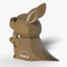 015 Kangaroo 4 2025 08