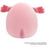 PokemonLegalLinesPDPImages chansey back 900x