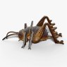 119 Giant Weta 3 2025 08