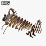 119 Giant Weta Exploded 2025 08