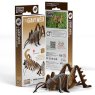 119 Giant Weta Packaging 2025 08