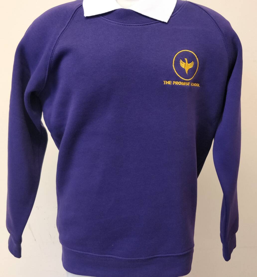 The Promise School Sweatshirt