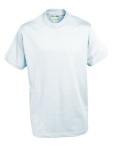 Champion Cotton T. Shirt (Colours) - Blue Max