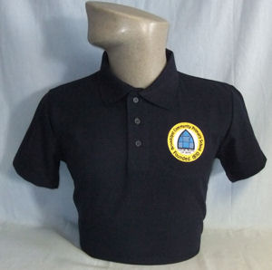 Broadclyst Primary School PE Polo Shirt