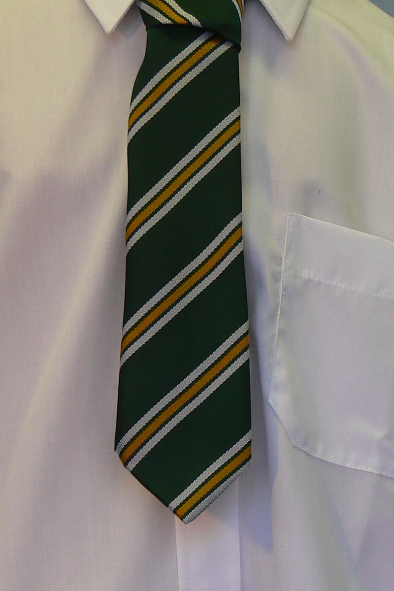 St Nicholas RC Primary School Tie