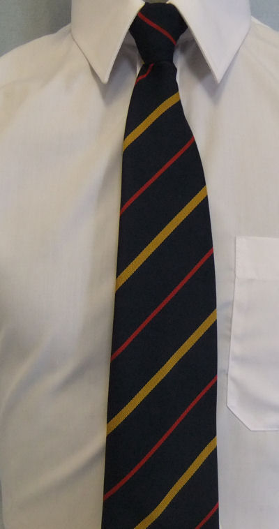 Clyst Vale Community College Clip On Tie