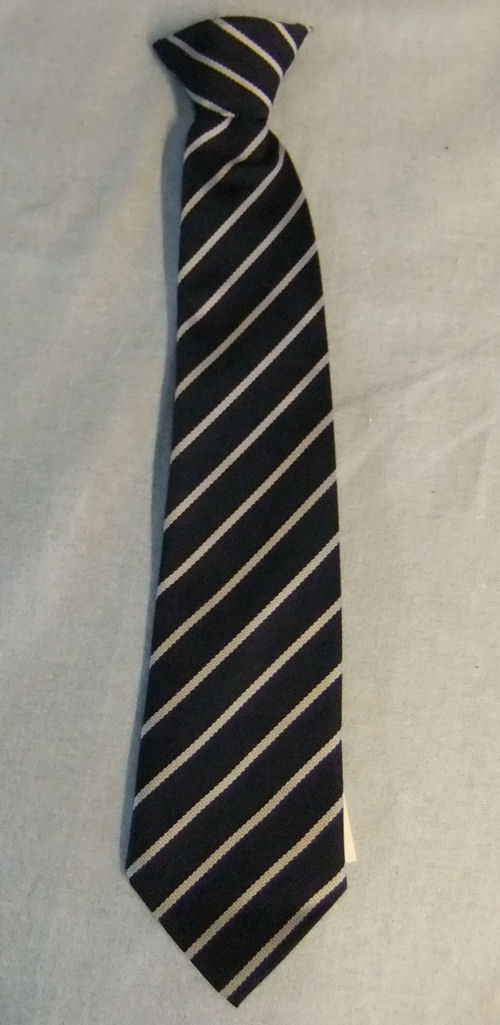 Sidmouth Primary School Clip-On Tie
