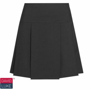 Drop Waist Pleated School Skirt DL973