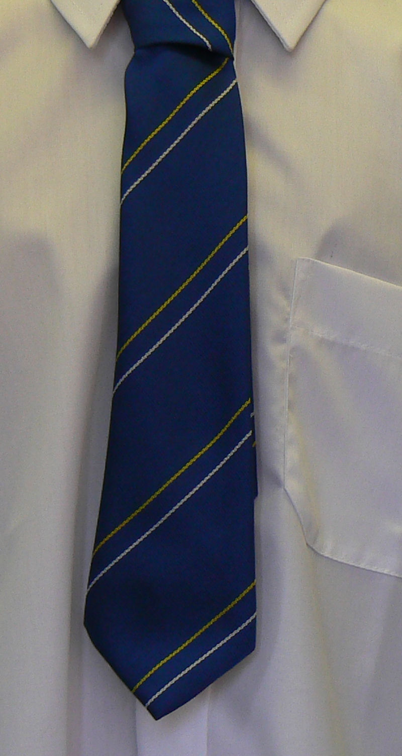 Axminster St Mary's RC School Tie
