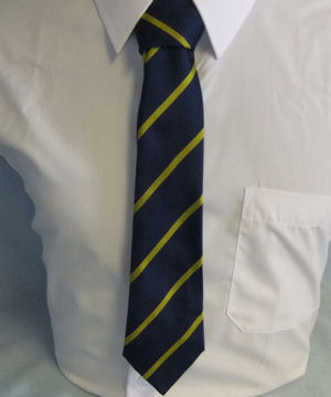 Exeter Cathedral Lower School Colours Tie
