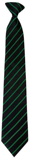 South Molton Community College Clip-On Tie